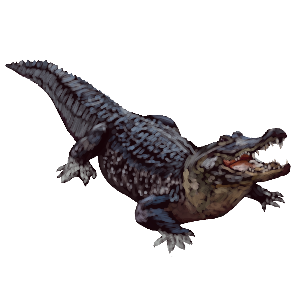 Alligator PNG, Alligator Cartoon Pictures Free Download - Free