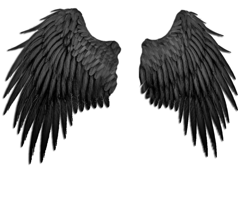 angel wings png tumblr