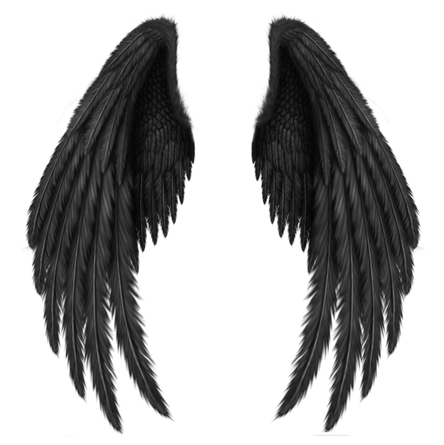 Angel Wings, Wings PNG Images Transparent Free Download - Free Transparent  PNG Logos