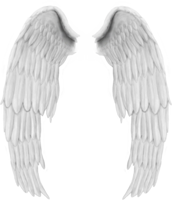 Angel Wings, Wings PNG Images Transparent Free Download - Free ...