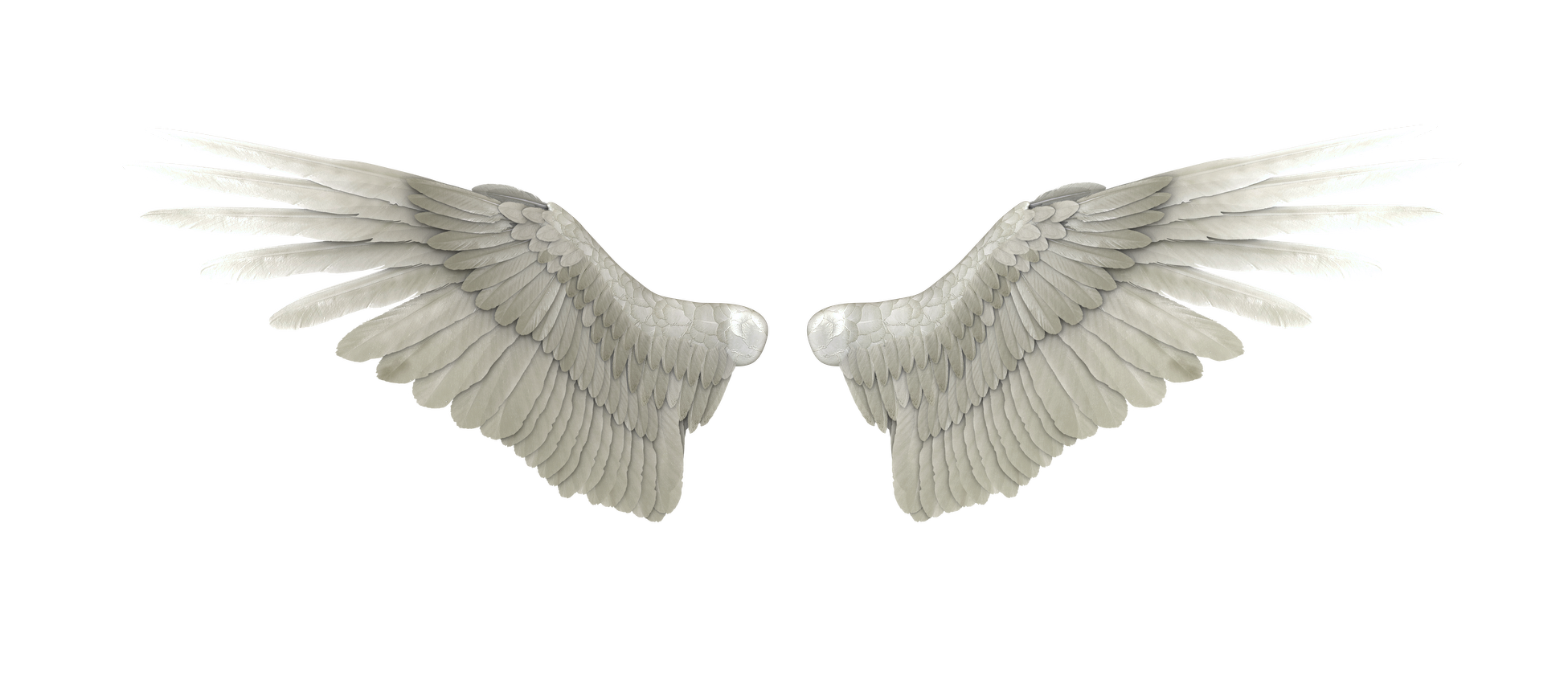 Side Angel Wings Png PNG Image Transparent PNG Free Download On SeekPNG ...