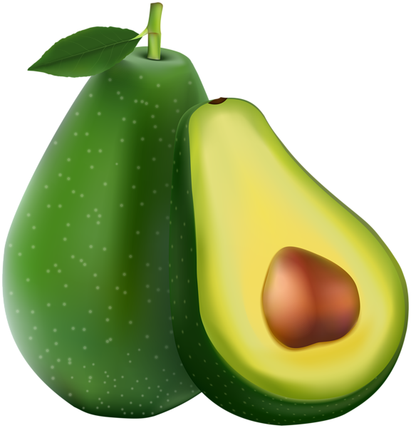 avocado transparent png image gallery yopriceville #23686