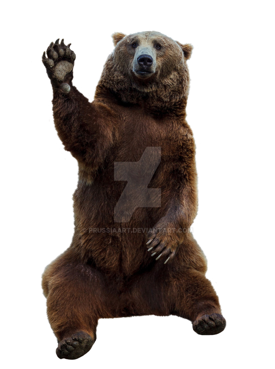 Bear Roblox, HD Png Download , Transparent Png Image - PNGitem