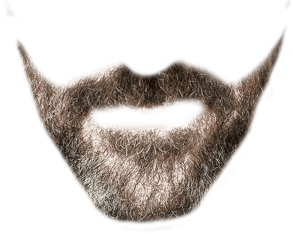 Beard PNG, Male Beards Transparent Background - Free Transparent PNG Logos