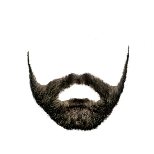 png beard for editing #13278