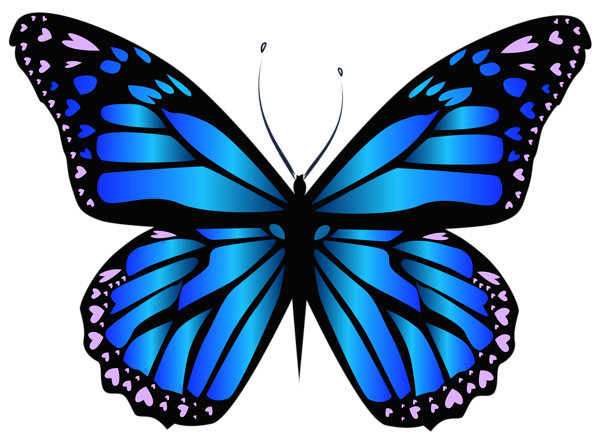 Butterfly PNG | Free Butterflies PNG Clipart Images - Free Transparent PNG  Logos