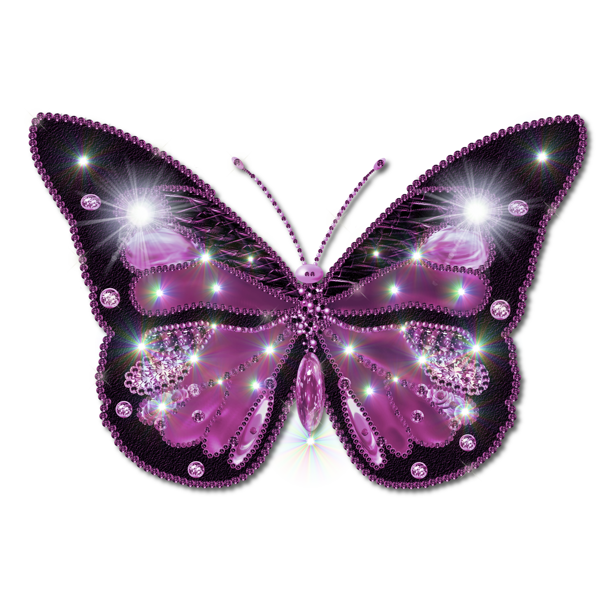 Butterfly PNG | Free Butterflies PNG Clipart Images - Free Transparent PNG  Logos