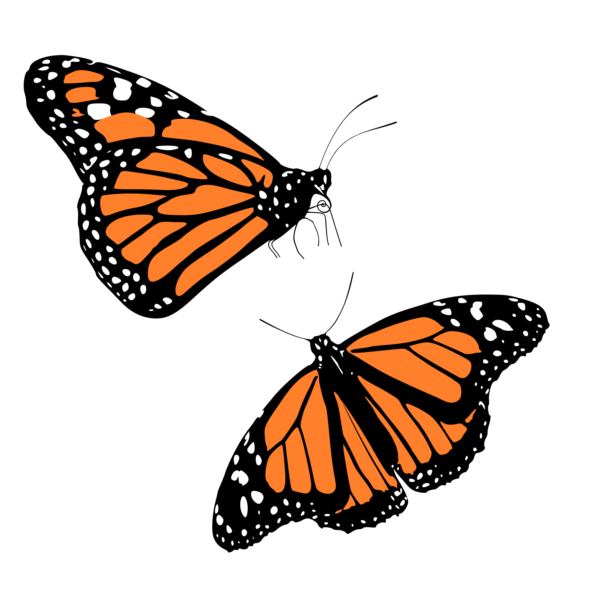 Butterfly Png Free Butterflies Png Clipart Images Free Transparent Png Logos