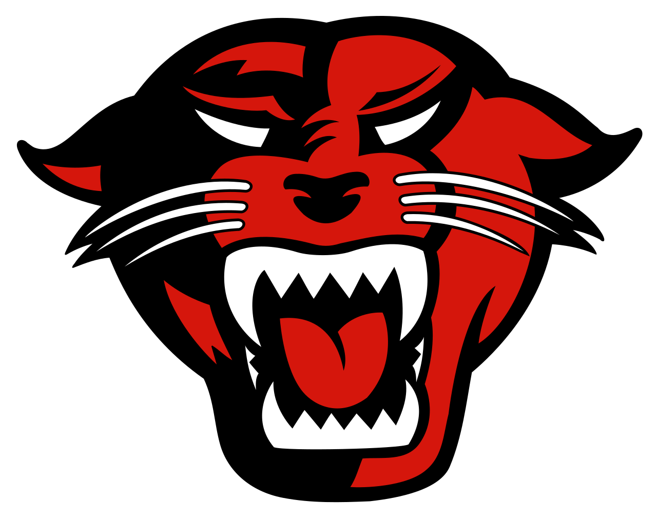 Carolina Panthers Logo New Png