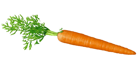 carrot transparent background image #17582