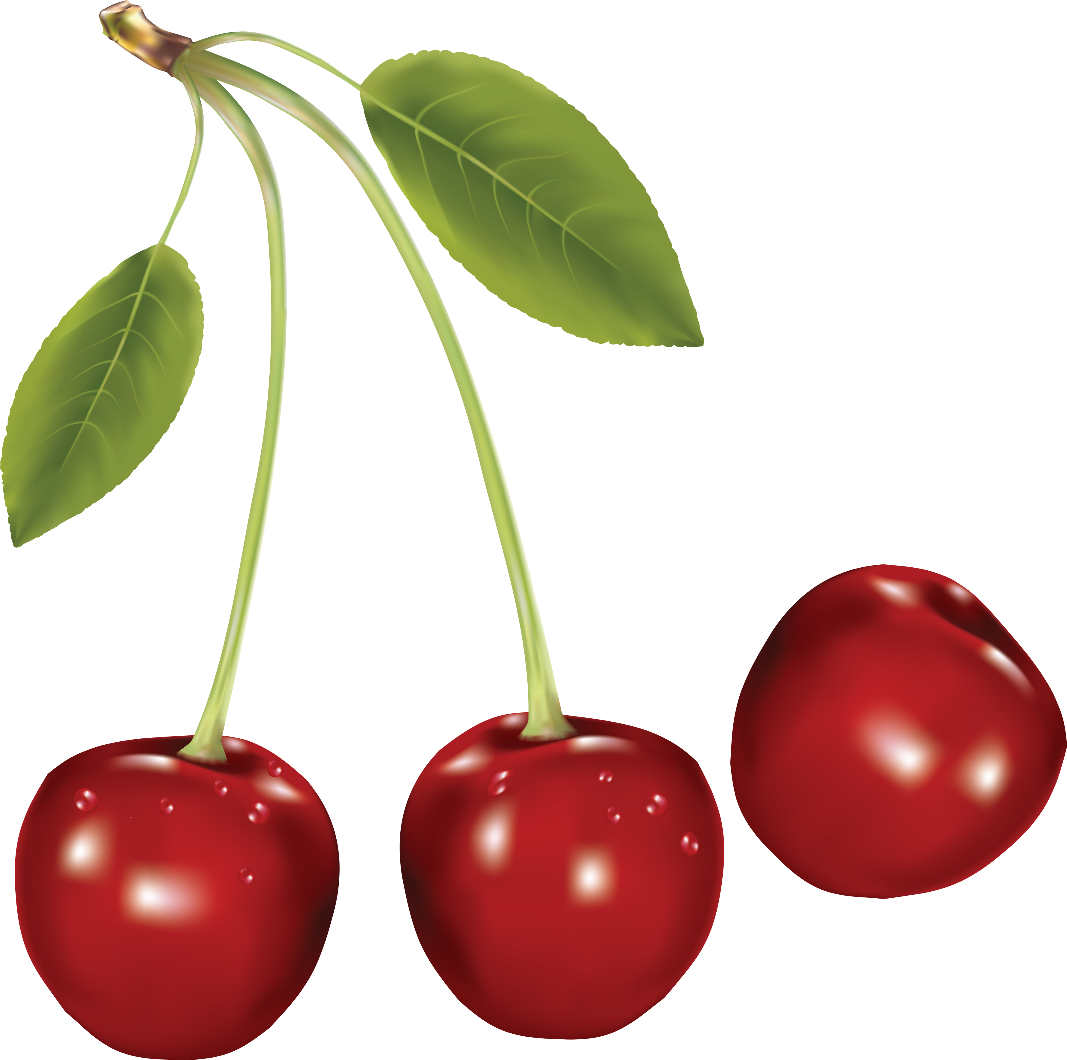 Cherry