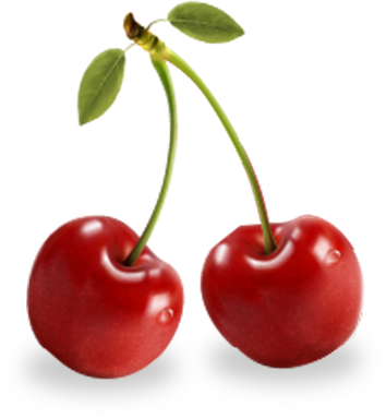 Cherry PNG Images, Cherry Blossom Transparent Free Download - Free ...