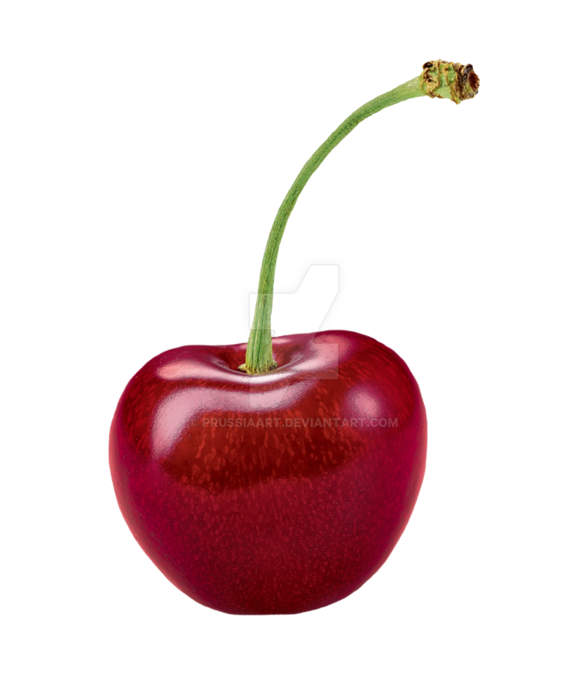 fruit cherry transparent background #24488