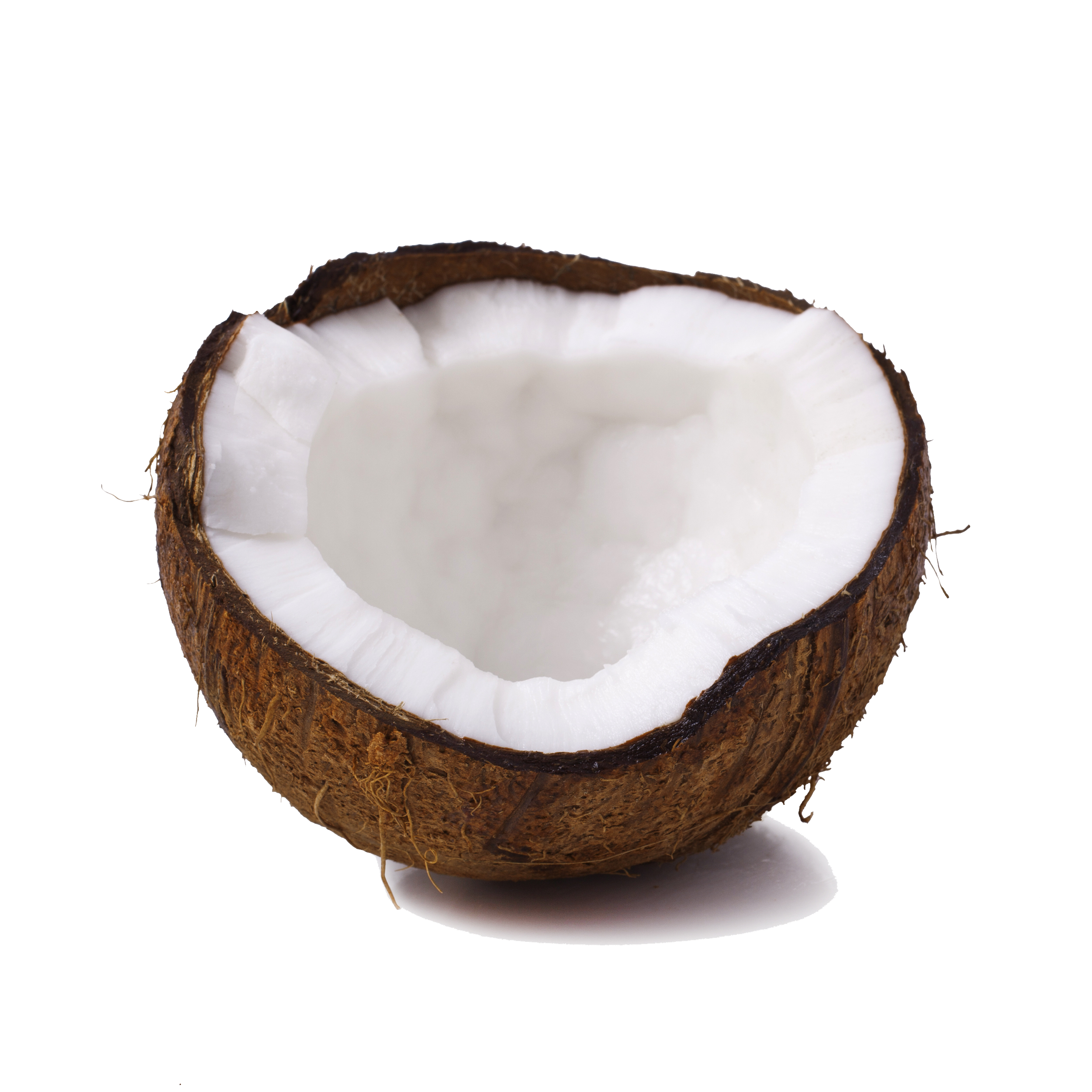 Coconut