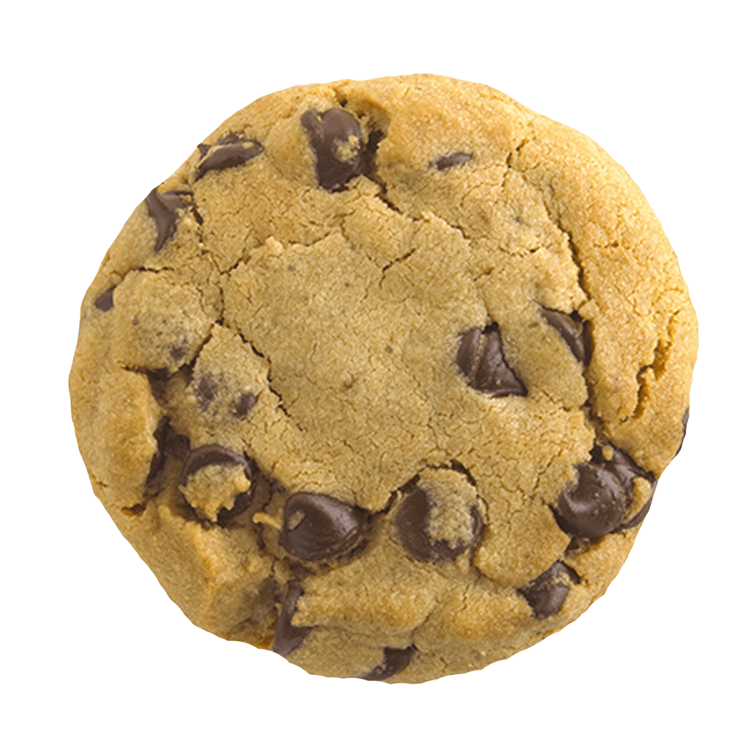 Cookie