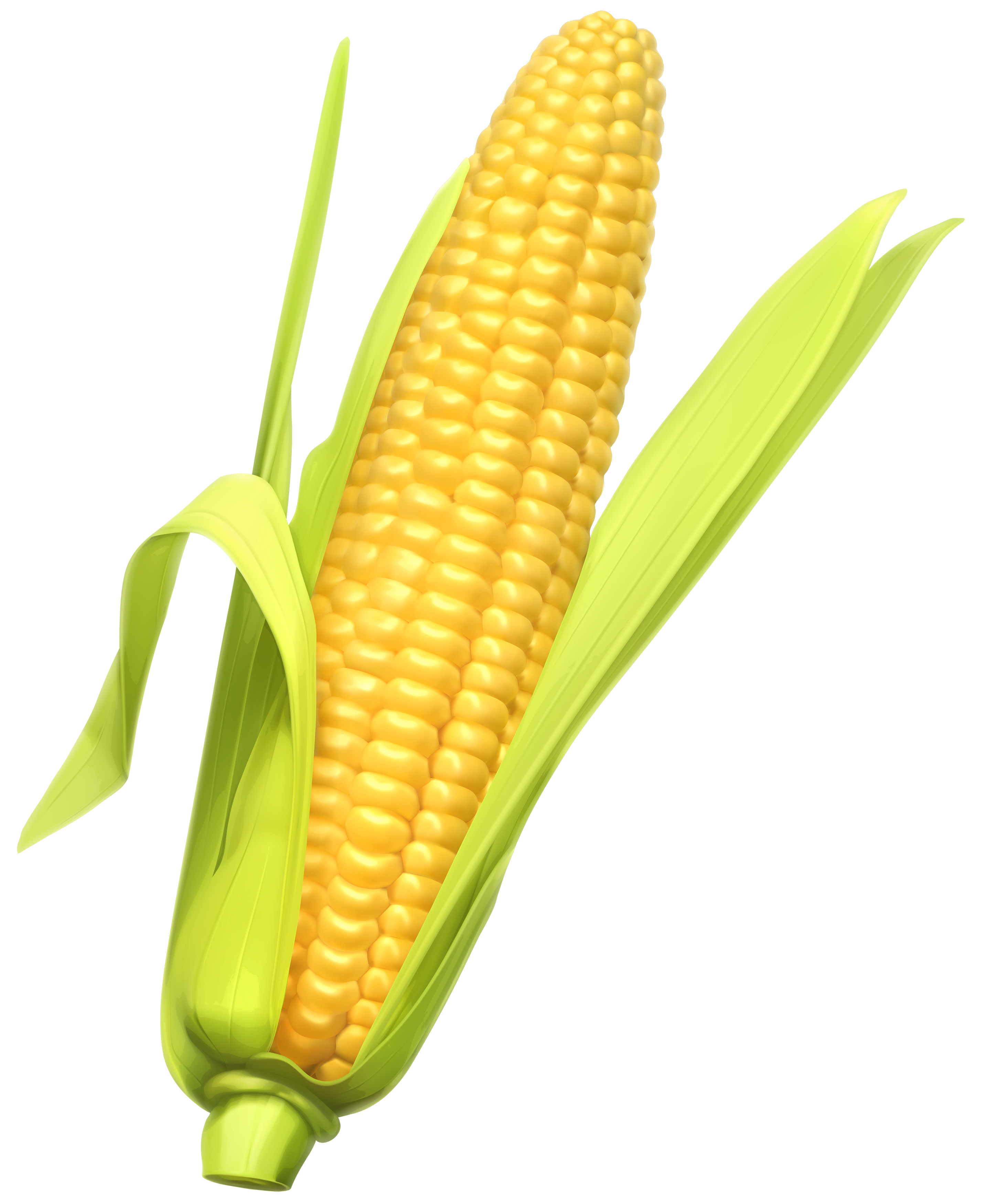 https://www.freepnglogos.com/uploads/corn-png/vector-clipart-corn-pencil-and-color-vector-clipart-corn-19.png