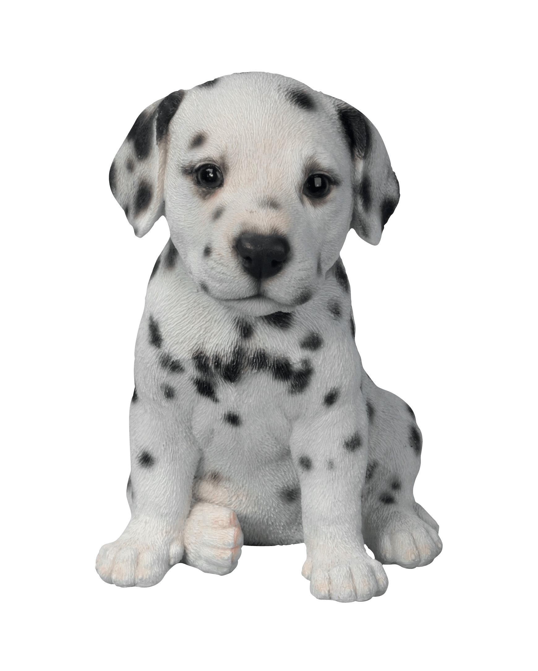 black and white dog png image transparent png #11384