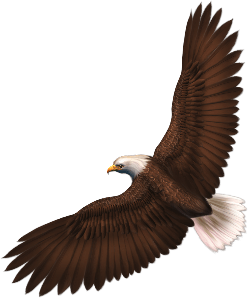 Eagle