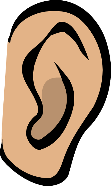 Ear