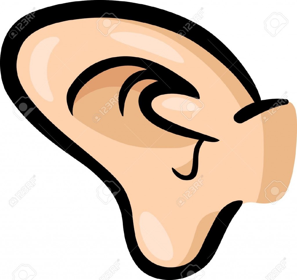 Ear