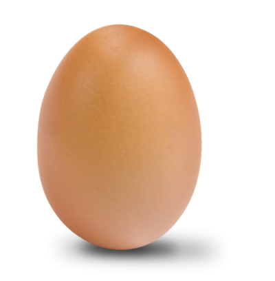 egg PNG transparent image download, size: 435x600px