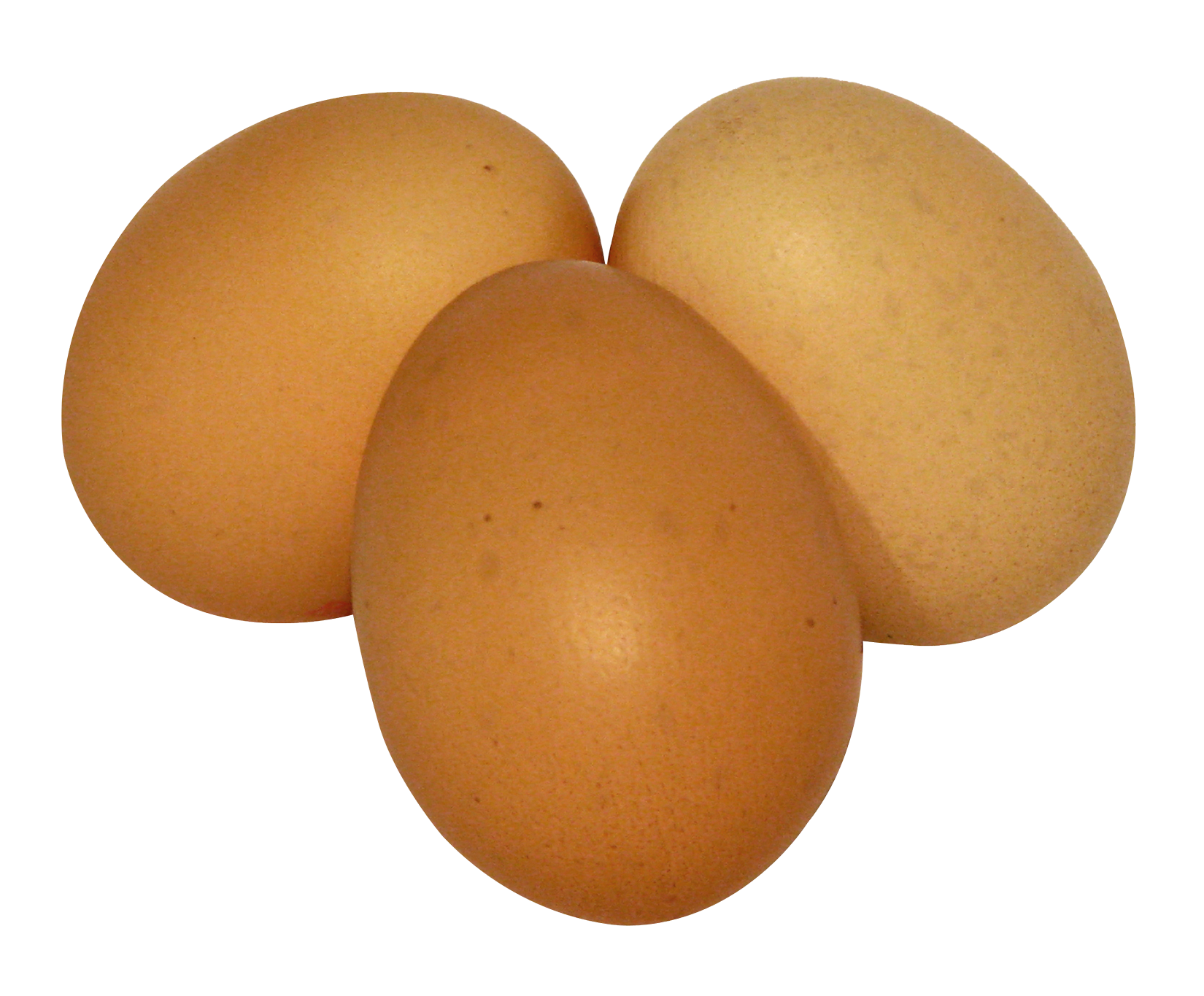Egg PNGs for Free Download