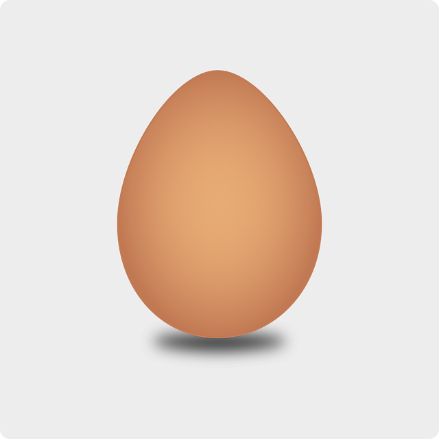 Single Egg transparent PNG - StickPNG