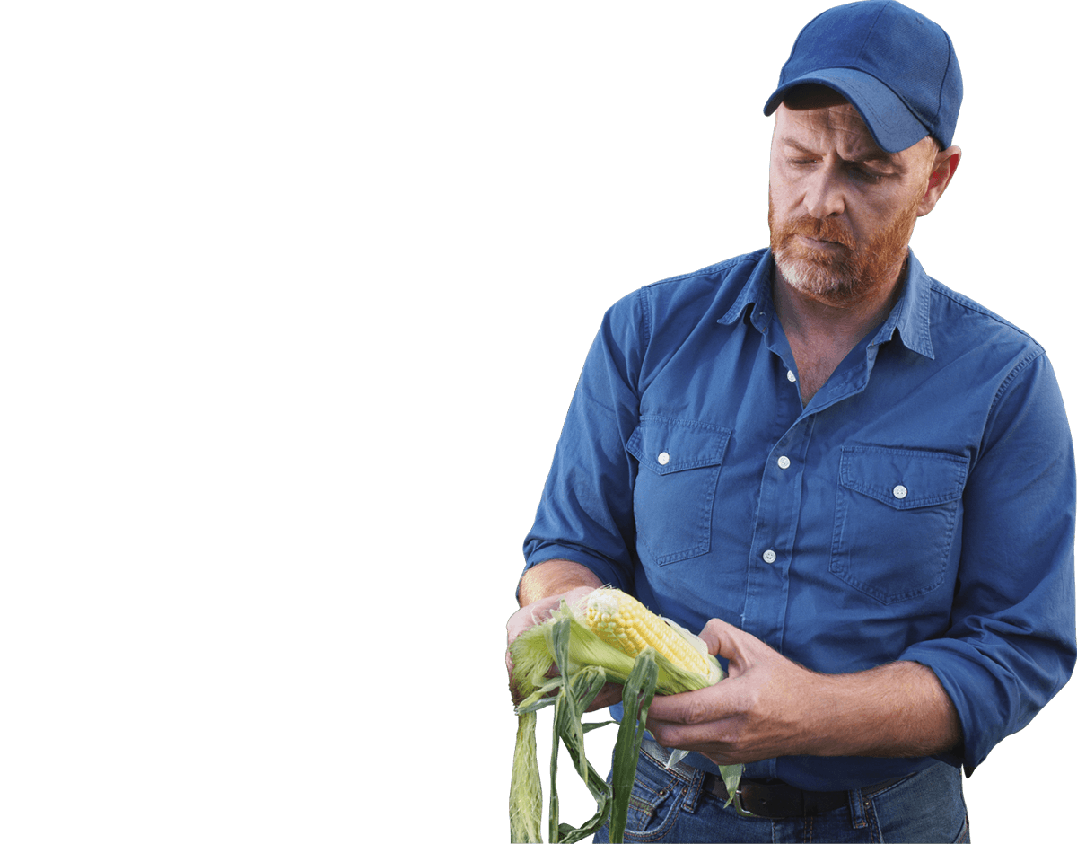 farmer png image purepng transparent png #34711