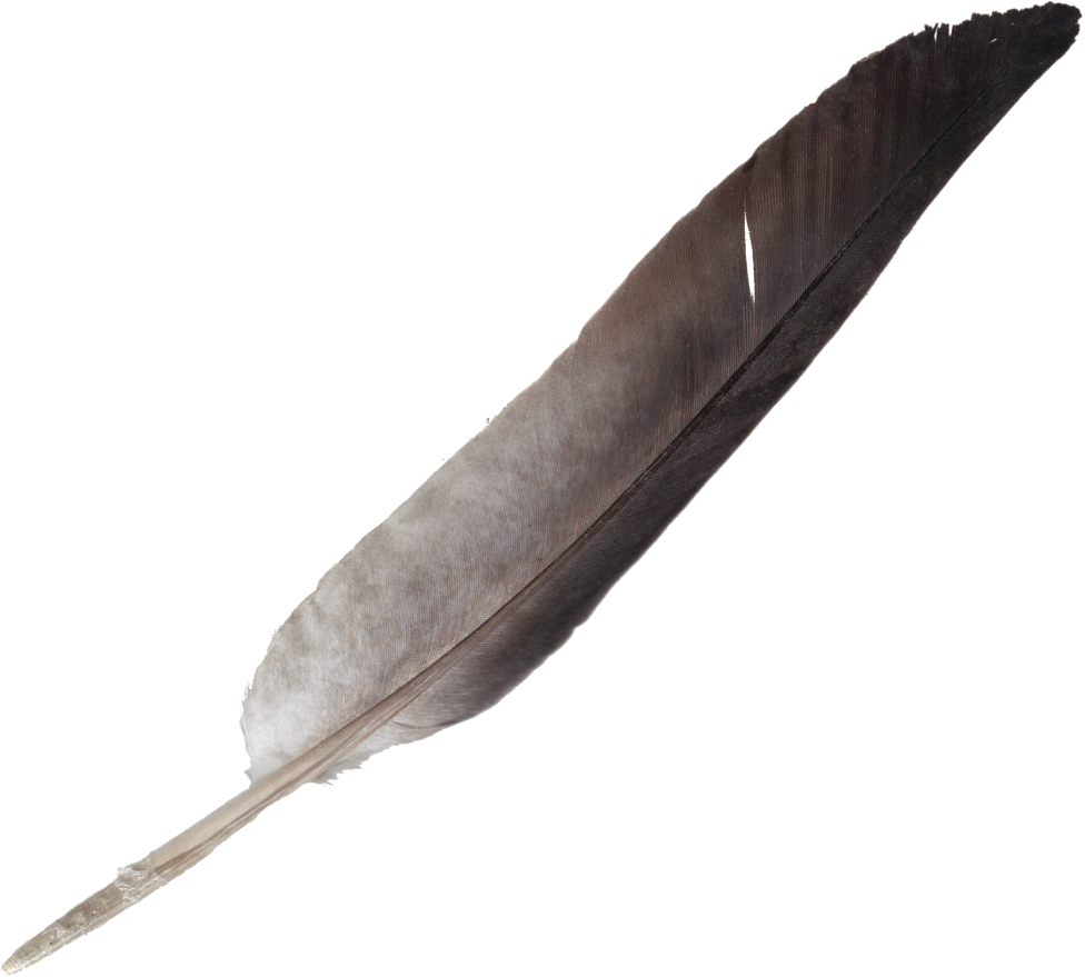 Feather