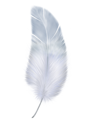 Buy angels feather - 134514 | Animeprintz.com