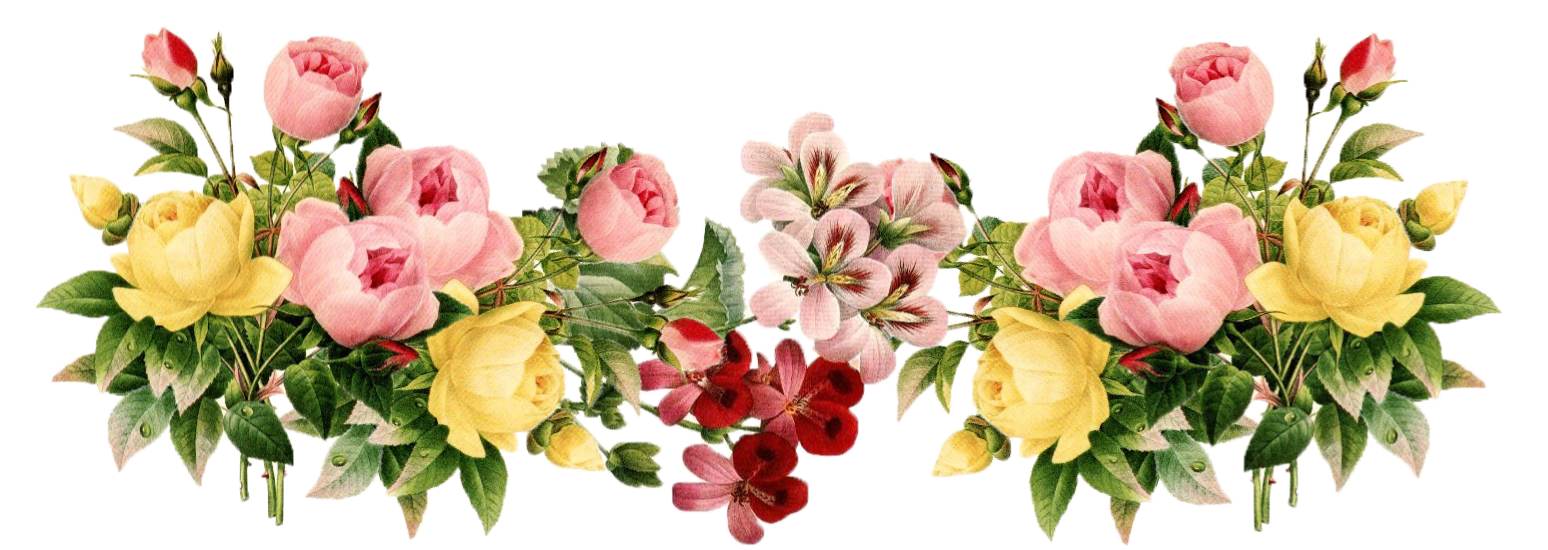 Flowers Pictures Free Download Transparent PNG Images - Free ...