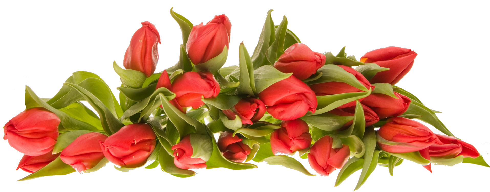 Bouquet Of Flowers Png Images Rose Tulip Flower Wedding Bouquet Free Transparent Png Logos