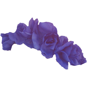 transparent flower crown png #30934