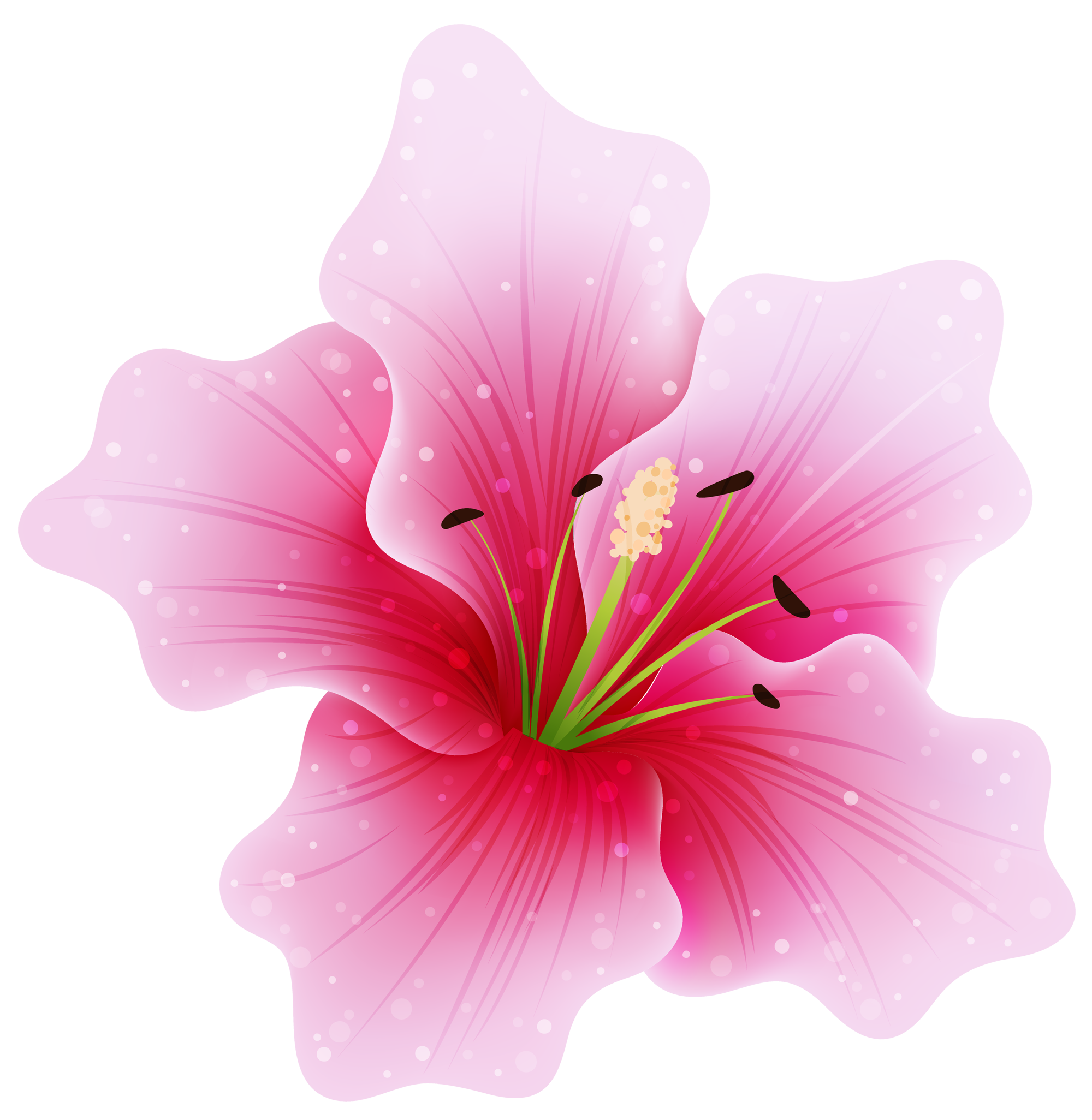 Flowers Pictures Free Download Transparent PNG Images - Free Transparent PNG  Logos