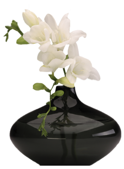 Vase With Flowers Transparent Flower Vase Png Pictures Free Download Free Transparent Png Logos