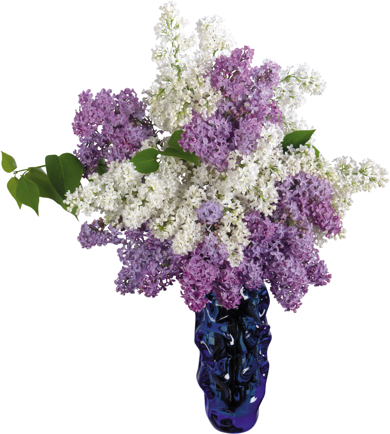 Vase With Flowers Transparent Flower Vase Png Pictures Free Download Free Transparent Png Logos