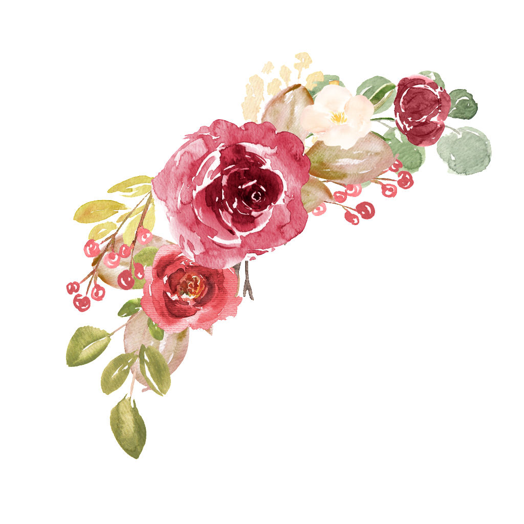 Free: Flowers watercolor, png transparent background 