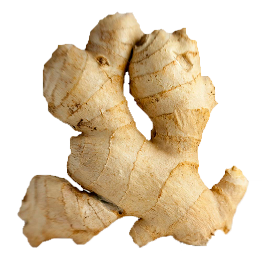 download ginger png photos transparent png images #27468