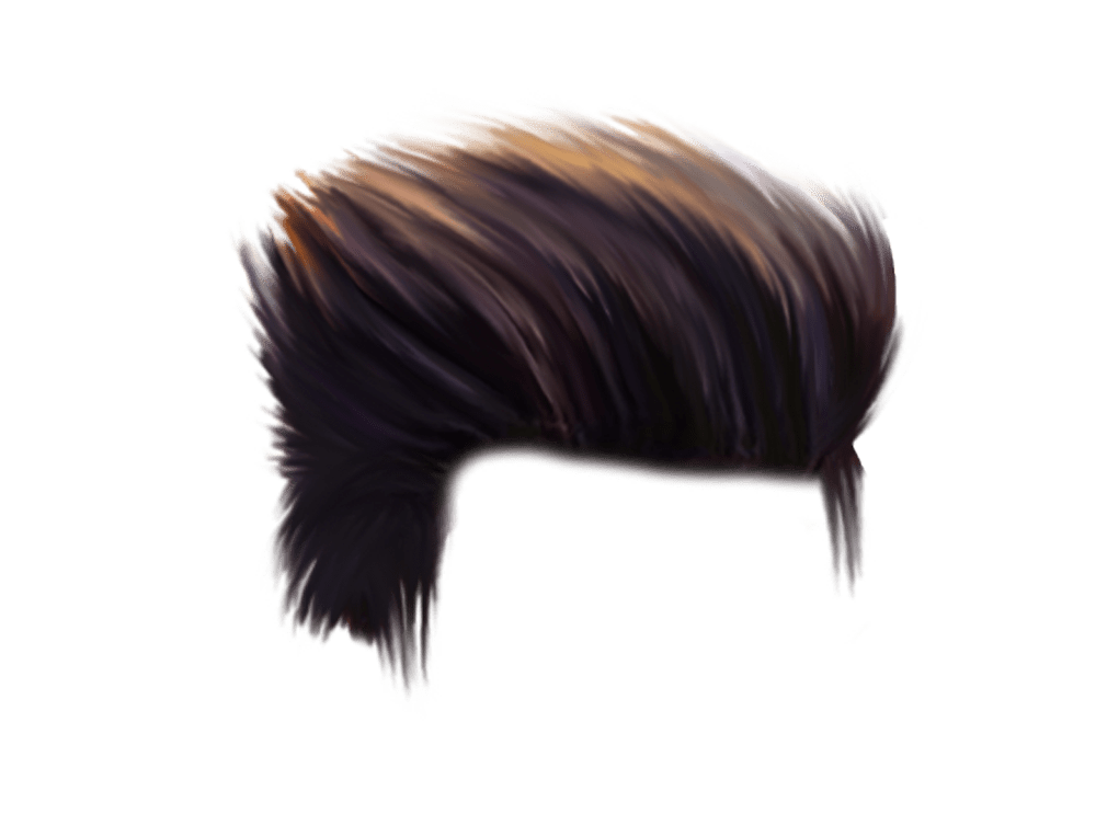HQ Hair PNG, Women, Man Hair Styles Transparent Pictures 