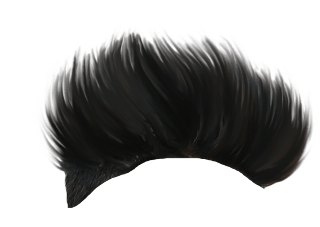hedgehog style men hair transparent #12882