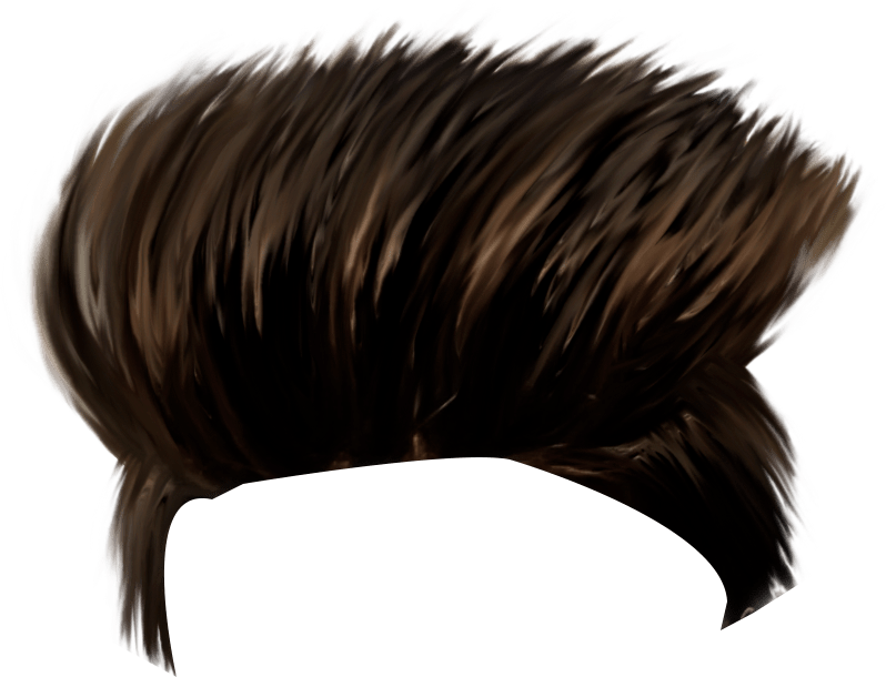 2021 Hairstyles Hair Png Women And Men Hair Style Free Transparent Png Logos
