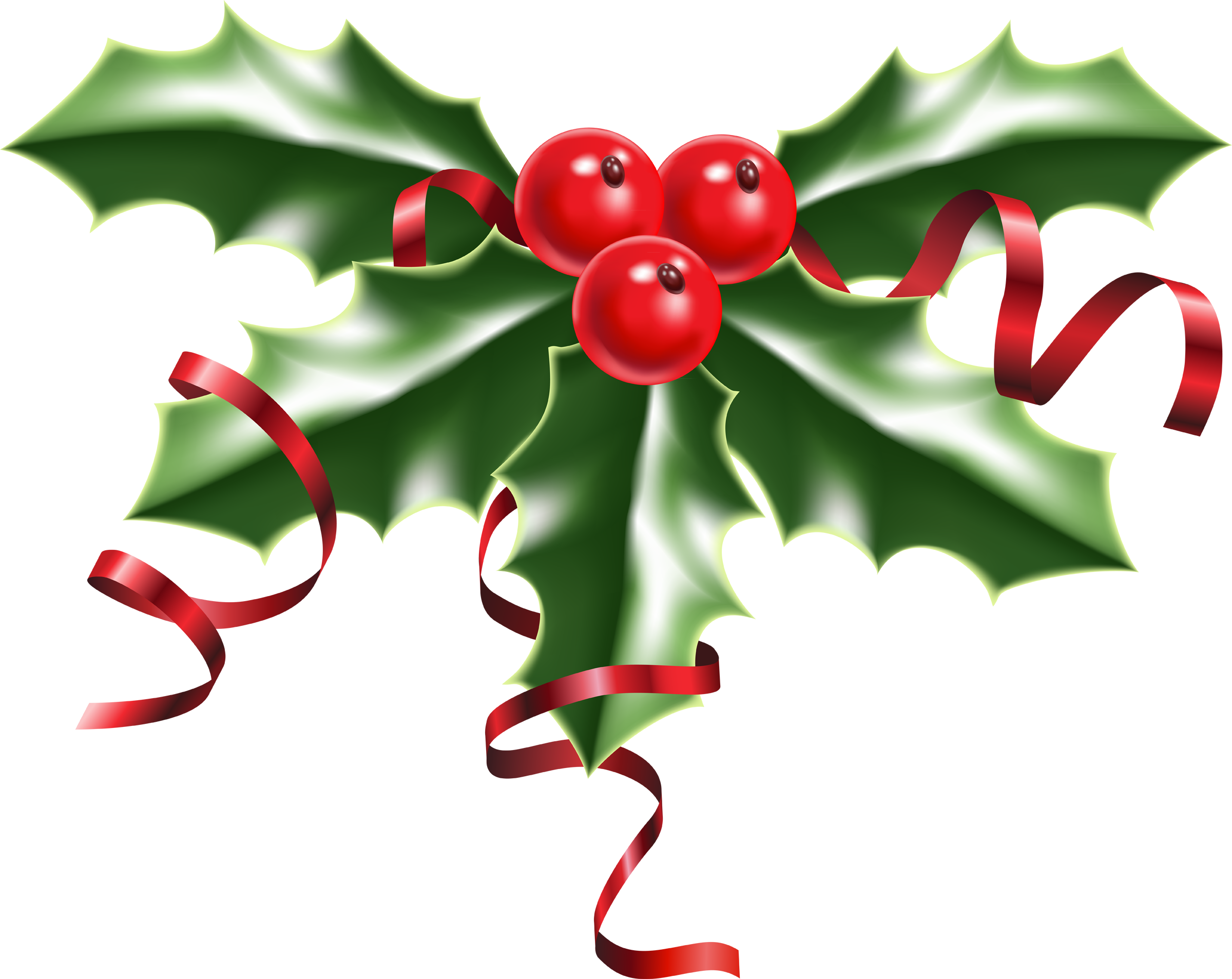Christmas Holly PNG Image​  Gallery Yopriceville - High-Quality