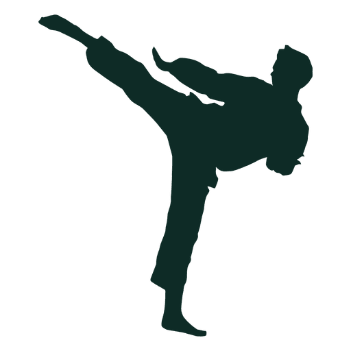Download Karate Png Karate Silhouette Images Free Download Free Transparent Png Logos
