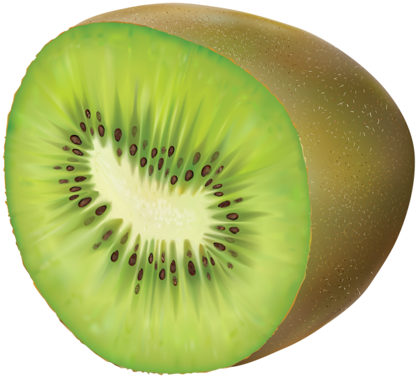 kiwi transparent png clip art gallery yopriceville #24923