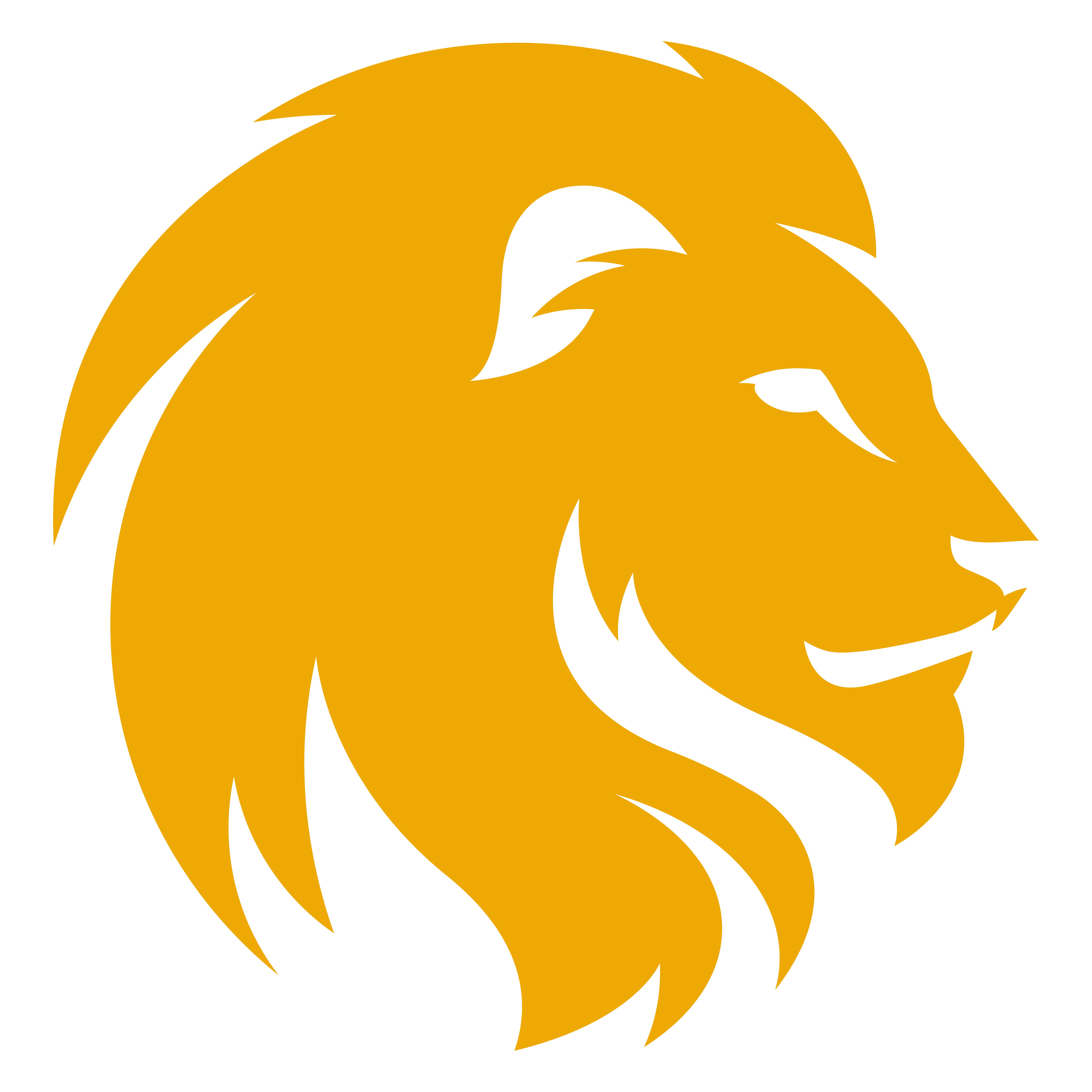 Lion Logo Png Transparent Images Download Free Transparent Png Logos