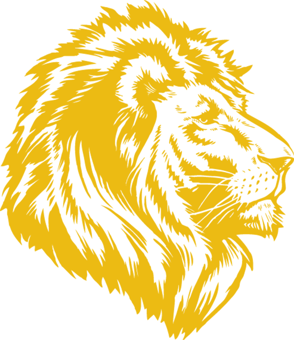 Lion Logo Png Transparent Images Download Free Transparent Png Logos