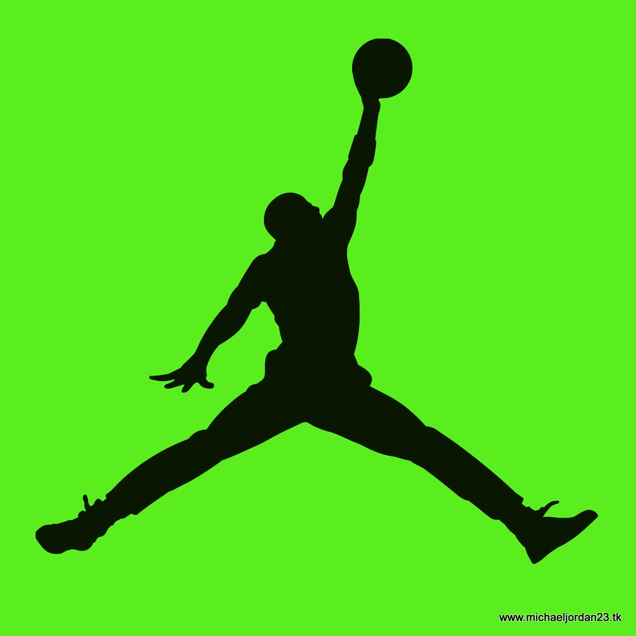 michael jordan logo photo