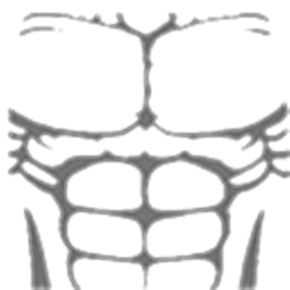Muscle Png Image Free Download Muscles Pictures Free Transparent Png Logos - transparent blood abs roblox