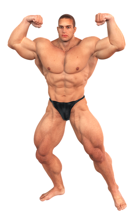 Muscle Png Image Free Download Muscles Pictures Free Transparent Png Logos - muscles roblox