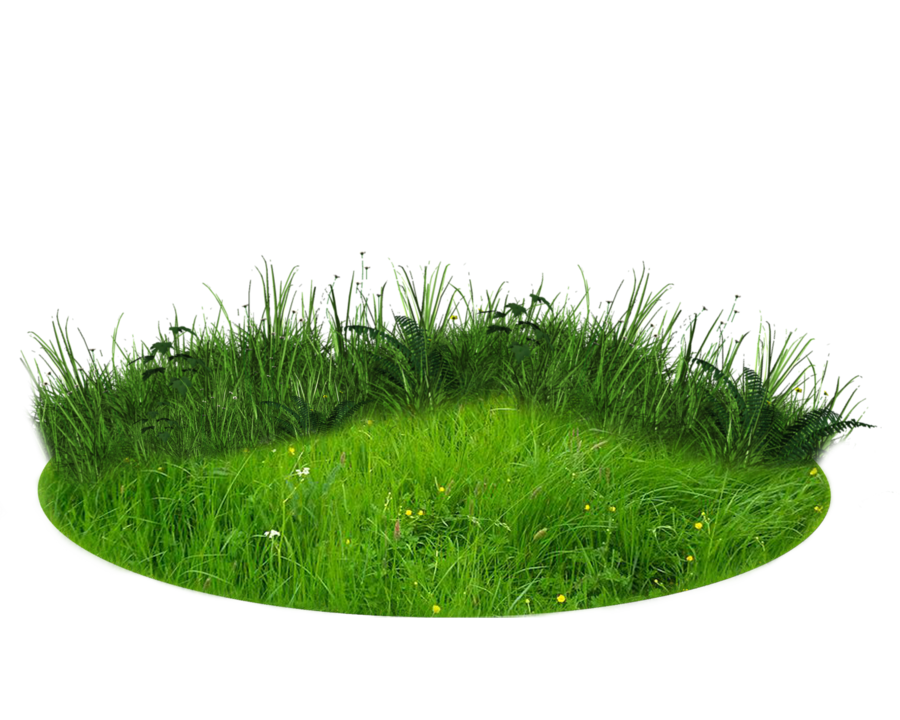 grass images download grass transparent backgound #8602